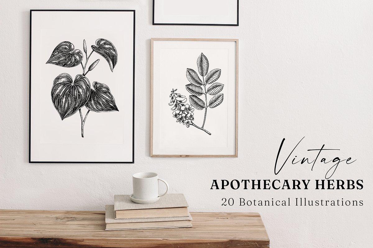 Apothecary Plants & Herbs Vector Set, a Healthcare Illustration by Yevheniia (Photo 2 of 11)