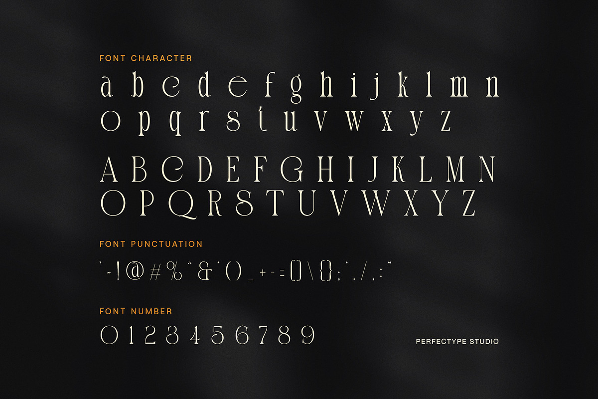 Sinteng – Modern Elegant Serif Font, a Serif Font by Perfectype (Photo 7 of 8)