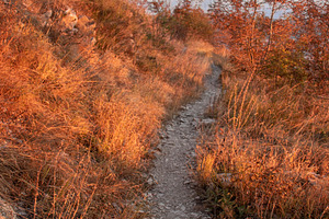 The mountain trail climbs up, a Nature Photo by Schreibikus