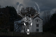 Mystic Halloween LineArt + Procreate, an Object Illustration by Skliarova (Thumbnail 2 of 7)