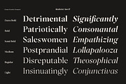 Balkist - 12 Font Family, a Serif Font by Mulkan Nazir (Thumbnail 3 of 15)