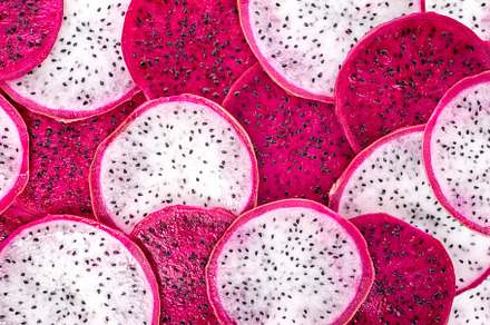 sliced red and white dragon fruit, a Food & Drink Photo by Olga