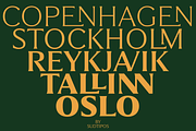 Partner, a Sans Serif Font by Sudtipos (Thumbnail 6 of 7)