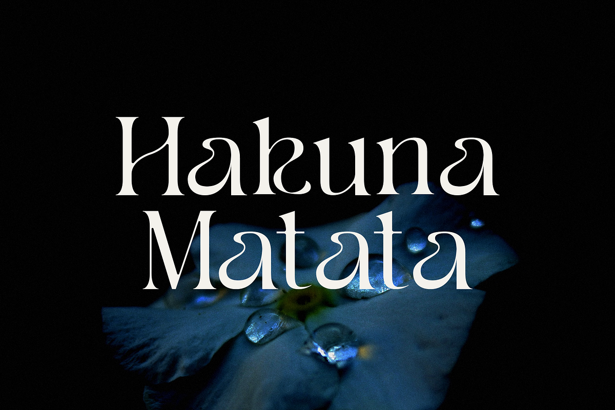 Hakuna – Elegant Serif Font, a Serif Font by Pen Culture (Photo 9 of 9)