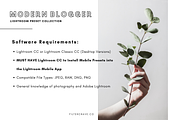 Modern Blogger Lightroom Presets IG, an Action Add-On by Filtercrave (Thumbnail 5 of 8)