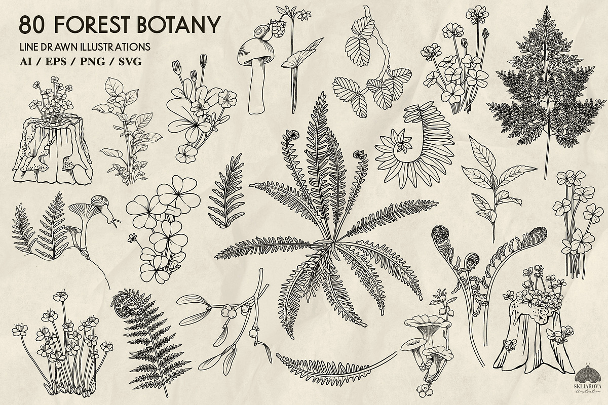 Forest Botany Line Art + Procreate, a Brush Add-On by Skliarova (Photo 4 of 6)