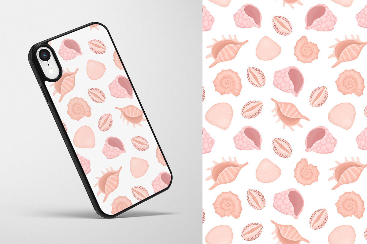 Seashells Collection, an Object Illustration by yarynabo (Photo 14 of 14)