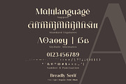 Breadley Serif, a Serif Font by Ardyanatypes (Thumbnail 11 of 12)
