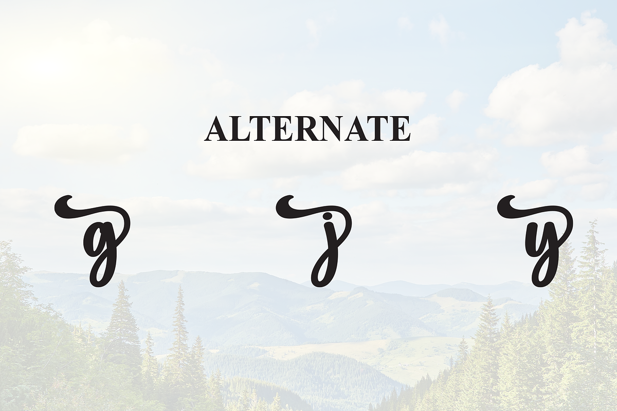 Wonder Day | Script Font, a Handwritten Font by Scratchones (Photo 8 of 9)