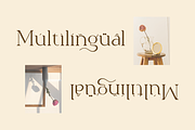 Spotless - Modern Stylish, a Serif Font by RockboyStd (Thumbnail 9 of 12)