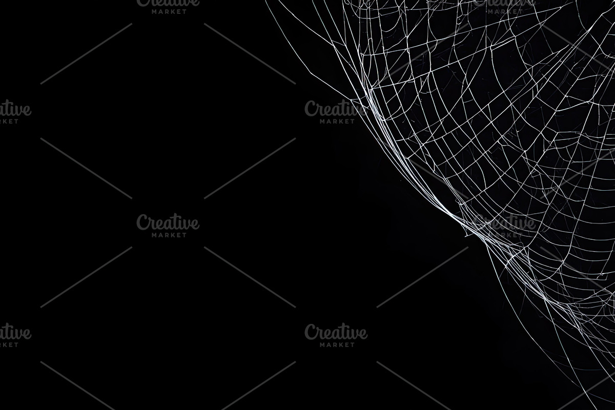 Spider Web Overlay Bundle, a Background Photo by M9 Design (Photo 8 of 10)
