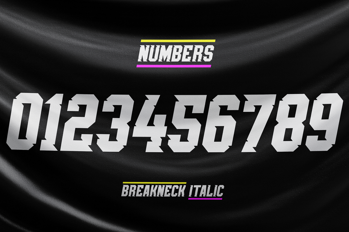 Breakneck Font Duo, a Sans Serif Font by Alphabet Agency (Photo 4 of 12)