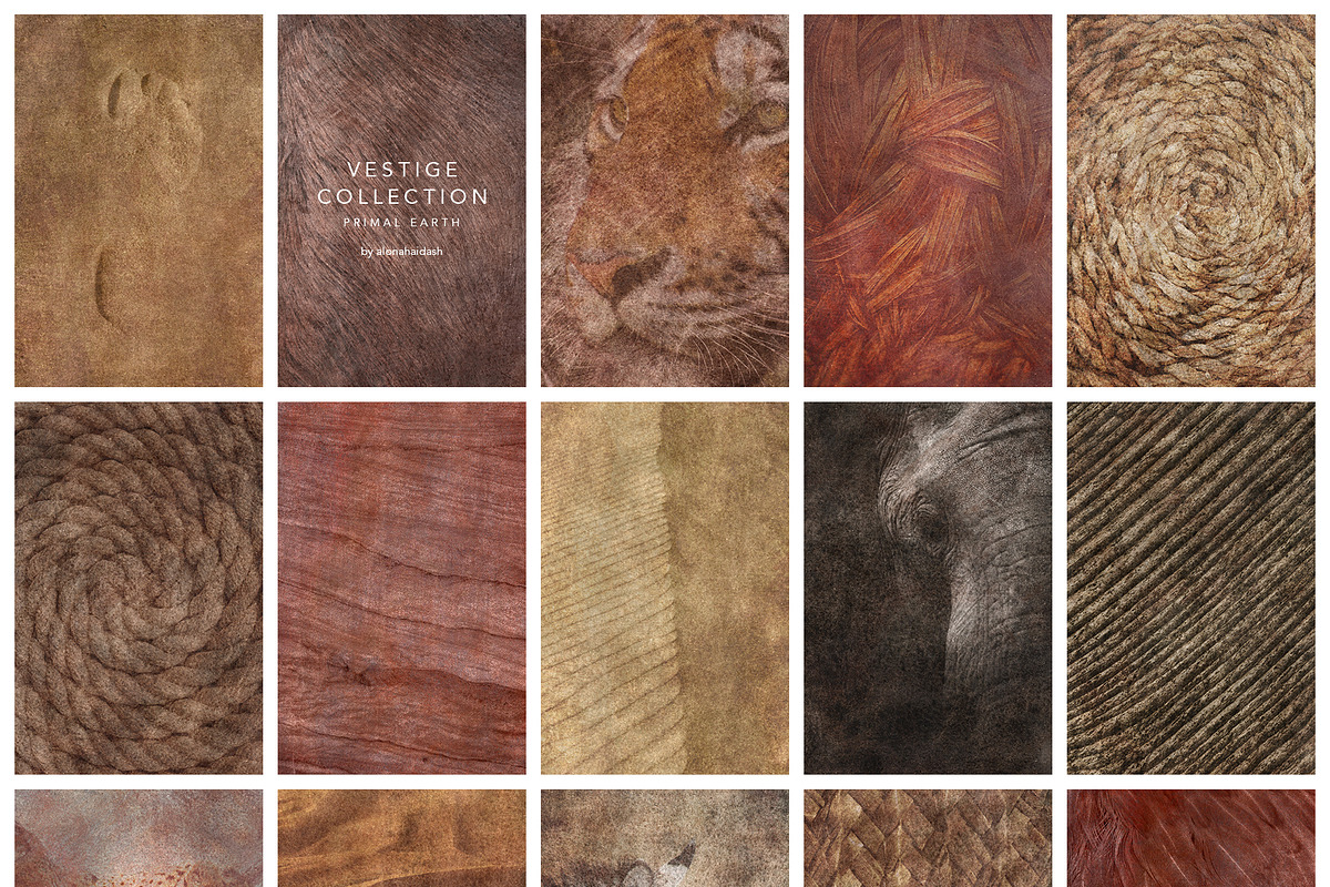 Vestige · Primal Earth Backgrounds, a Background Graphic by alonahaidash (Photo 11 of 16)