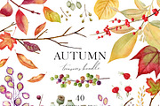 Autumn Herbarium Watercolor Clipart, a Background Graphic by Watercolor Clipart (Thumbnail 1 of 4)