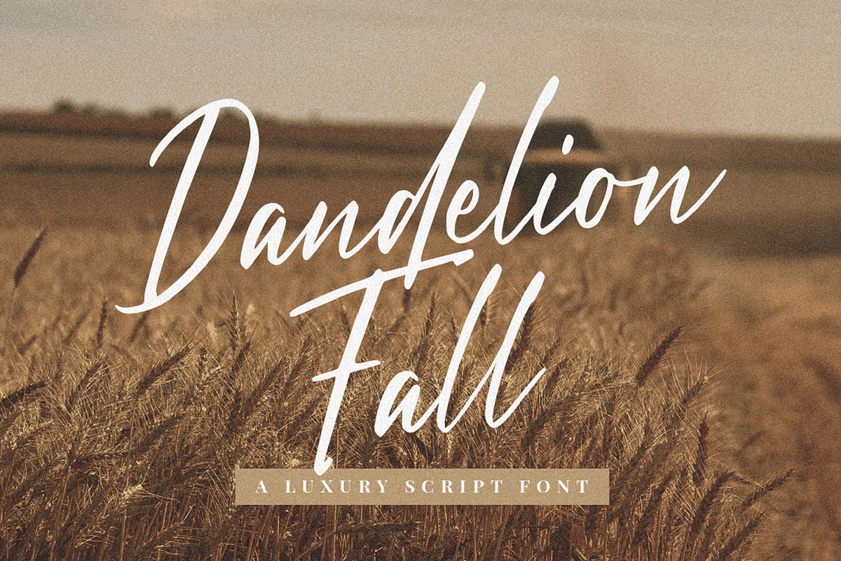 Vienetta Luxury Font Script, a Script Font by UInstrument (Photo 4 of 12)