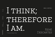 TT Rationalist, a Slab Serif Font by TypeType (Thumbnail 3 of 15)