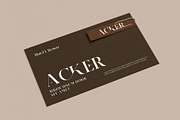 Rastings Macker Ligature Serif Font, a Serif Font by Graphicxell (Thumbnail 8 of 10)
