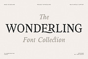 The Wonderling Font Pack, a Serif Font by Tom Chalky (Thumbnail 1 of 16)