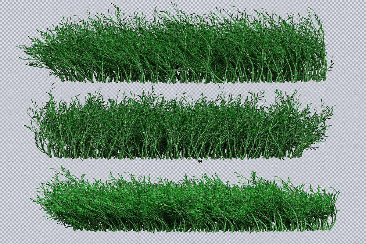 Grass Brushes for PS and PNGs, a Brush Add-On by Creative Graphics (Photo 6 of 6)