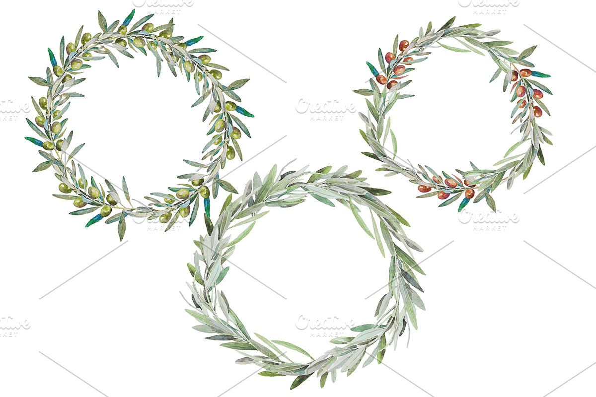 OLIVE Watercolor Clip Art, an Illustration by Alim Yakubov (Photo 3 of 6)