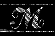Bodoni Terracina Full Family 6 Fonts, a Script Font by California Type Foundry (Thumbnail 2 of 10)