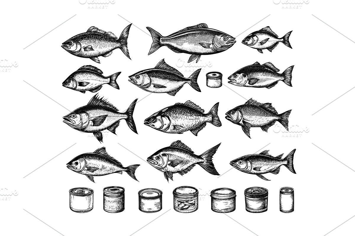 Fish canned food engraving vector, an Animal Illustration by Onyx