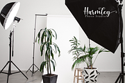Masthina - Modern Calligraphy Font, a Script Font by Sibelumpagi Studio (Thumbnail 9 of 11)