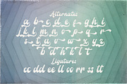 Amigos Script - Retro Script Font, a Script Font by StringLabs (Thumbnail 14 of 14)