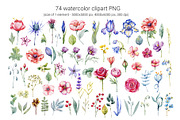 Watercolor wildflowers set, an Illustration by Artmanata (Thumbnail 2 of 26)