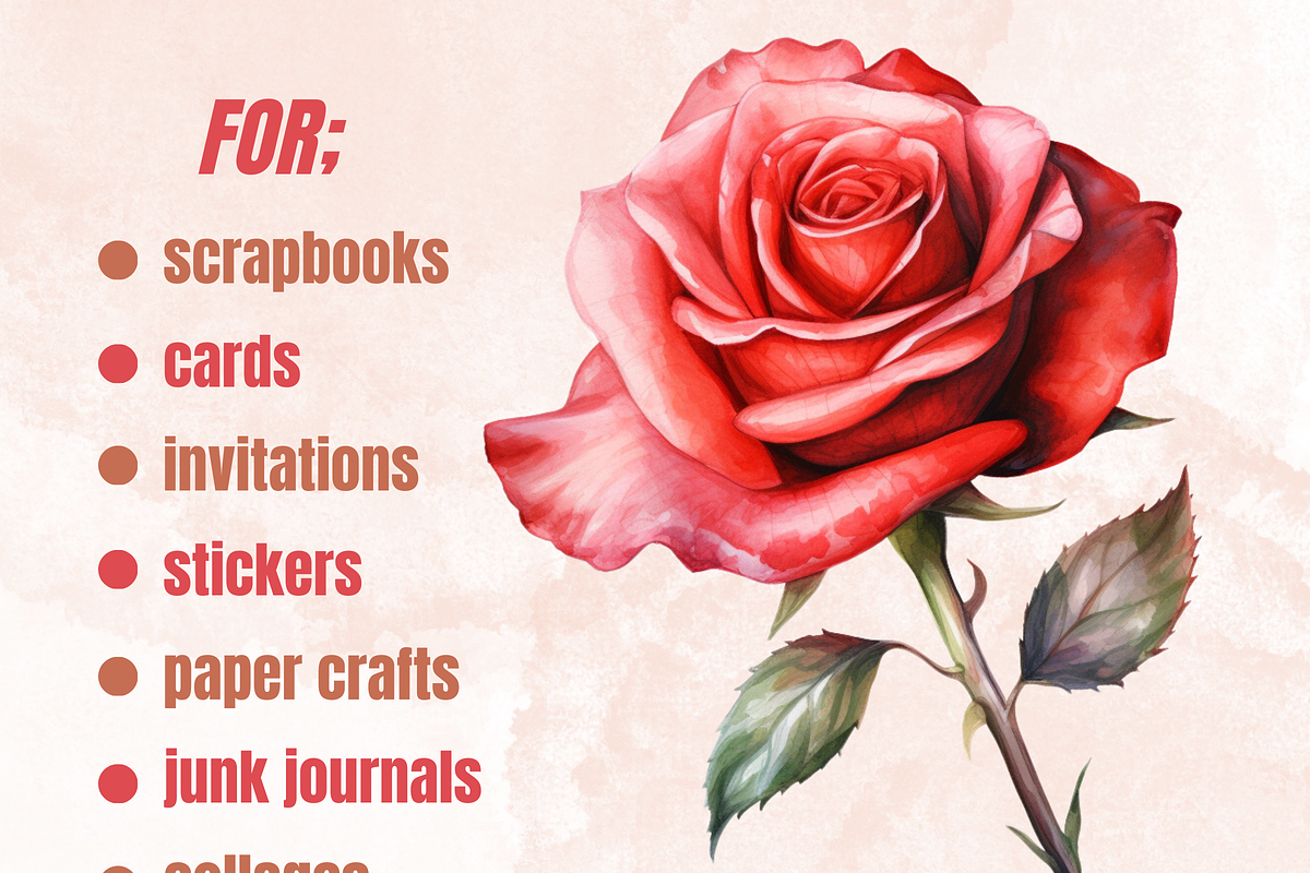 Valentine's Day Flowers Clipart, a Seasonal Illustration by GiraffeCreative (Photo 3 of 9)