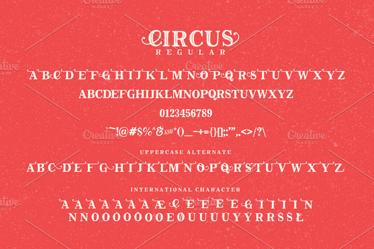 The Circus Display Font, a Handwritten Font by PremiumMockup (Photo 5 of 5)