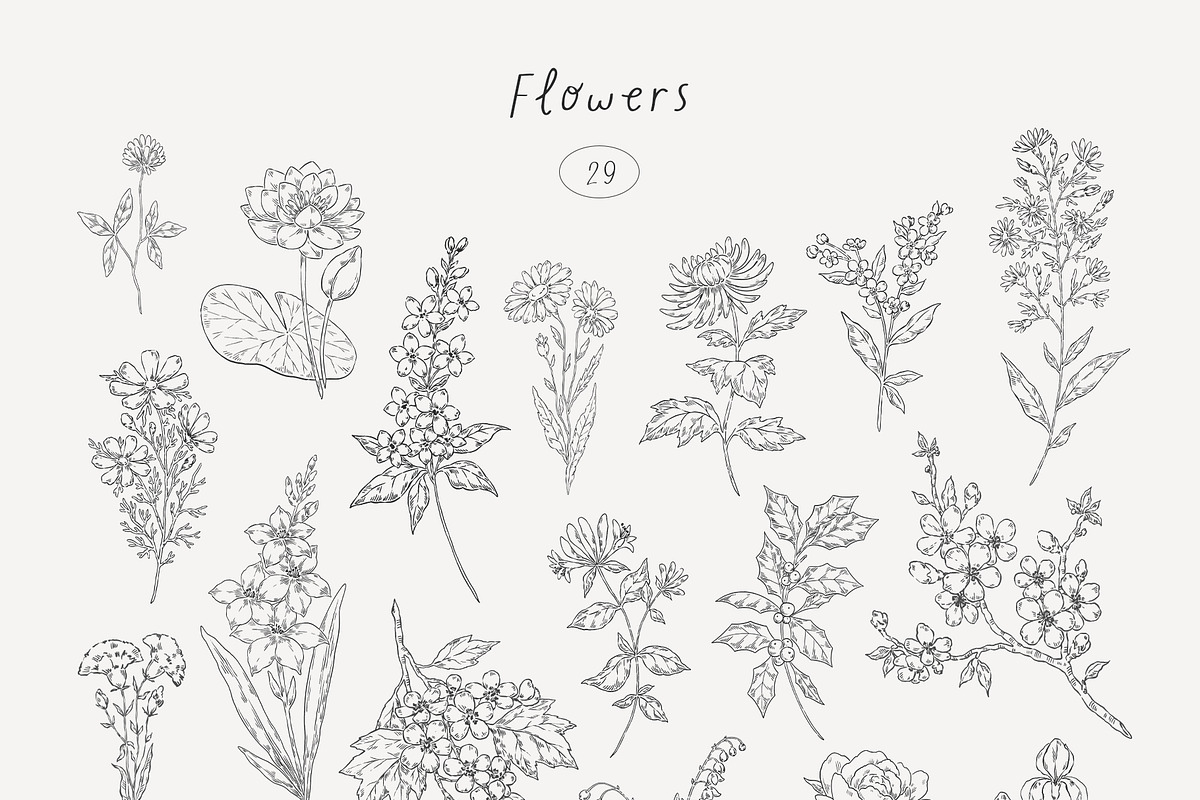 Wildflowers. Hand drawn pencil flora, a Decorative Illustration by Kreker Kate (Photo 11 of 12)