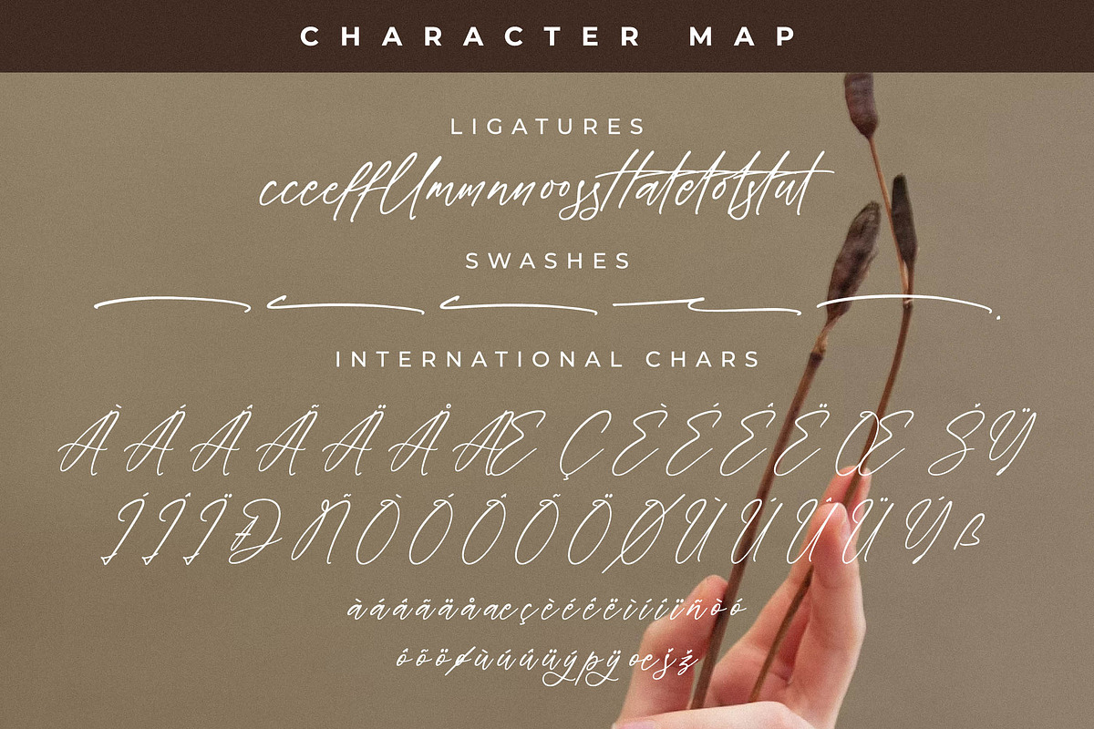 Everlast Roman Font Duo, a Serif Font by Storytype Studio (Photo 12 of 15)