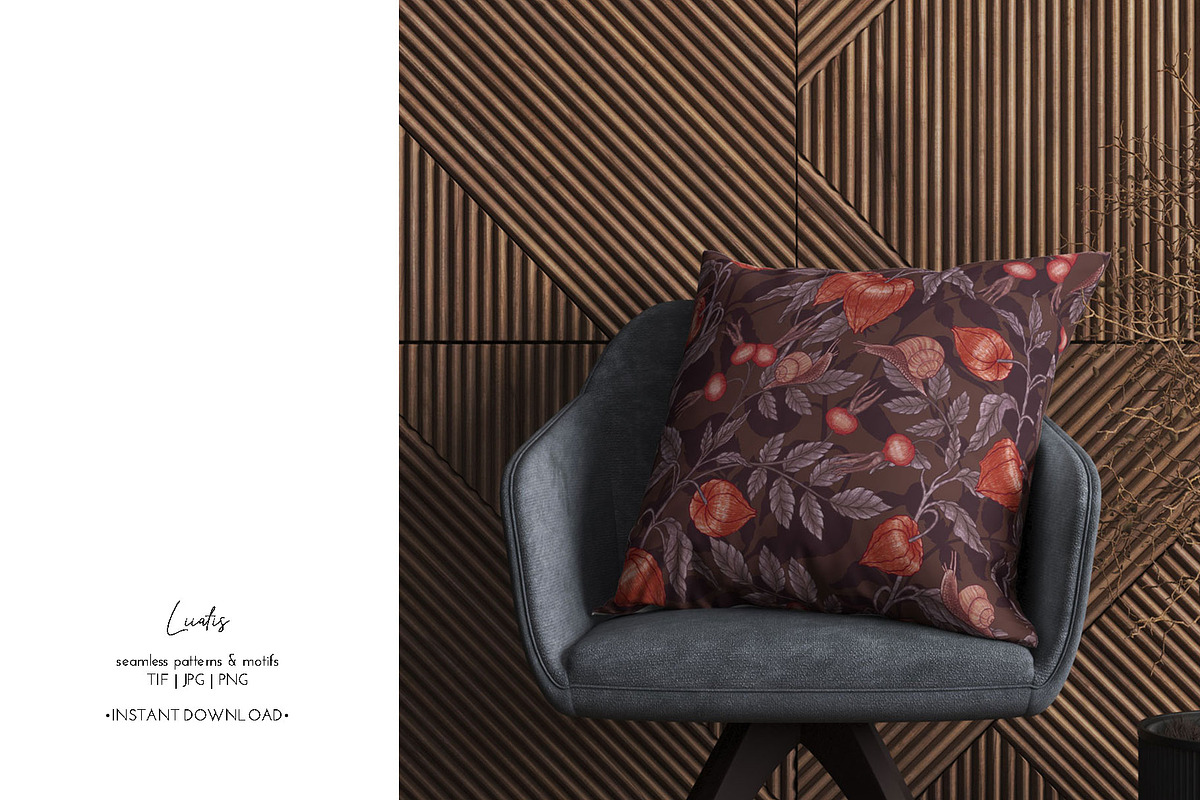 PHYSALIS GARDEN — Botanical Patterns, a Decorative Illustration by Liiafis (Photo 12 of 17)