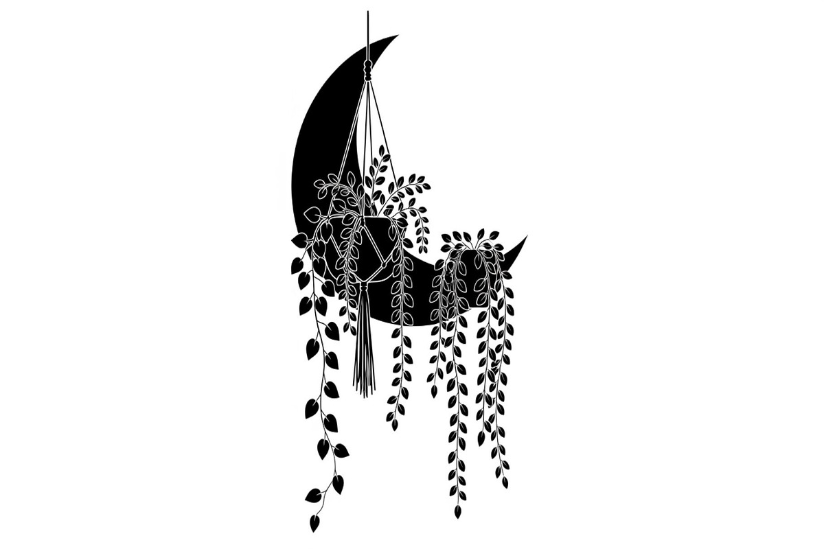 Hanging Moon with Plants Bundle, an Illustration by Designs_River (Photo 24 of 31)