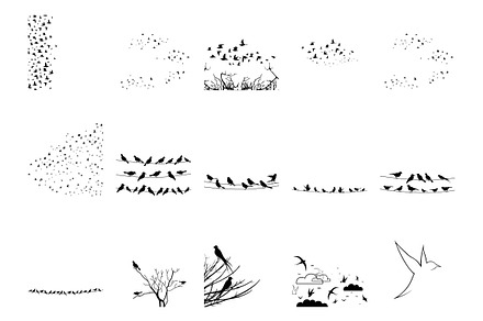 Ornament of birds