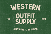 Wildboar - Vintage Display Font, a Sans Serif Font by Pekotype (Thumbnail 6 of 15)