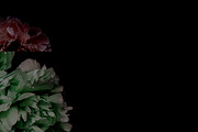 Futuristic Florals, a Pattern Graphic by Templit Moon (Thumbnail 3 of 4)