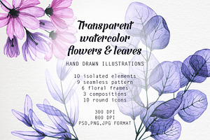 Transparent flora. Watercolor set