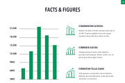 Country Saudi Arabia PowerPoint, a Presentation Template by Jumsoft (Thumbnail 13 of 20)