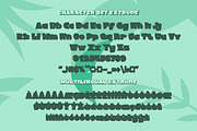Heaven Scent - Modern Display Font, a Handwritten Font by Flawless And Co (Thumbnail 9 of 10)