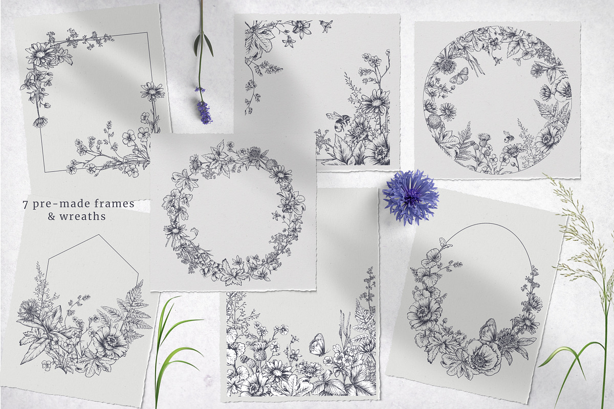 Wildflower Meadow Vector Set, a Decorative Illustration by Molly art (Photo 5 of 12)