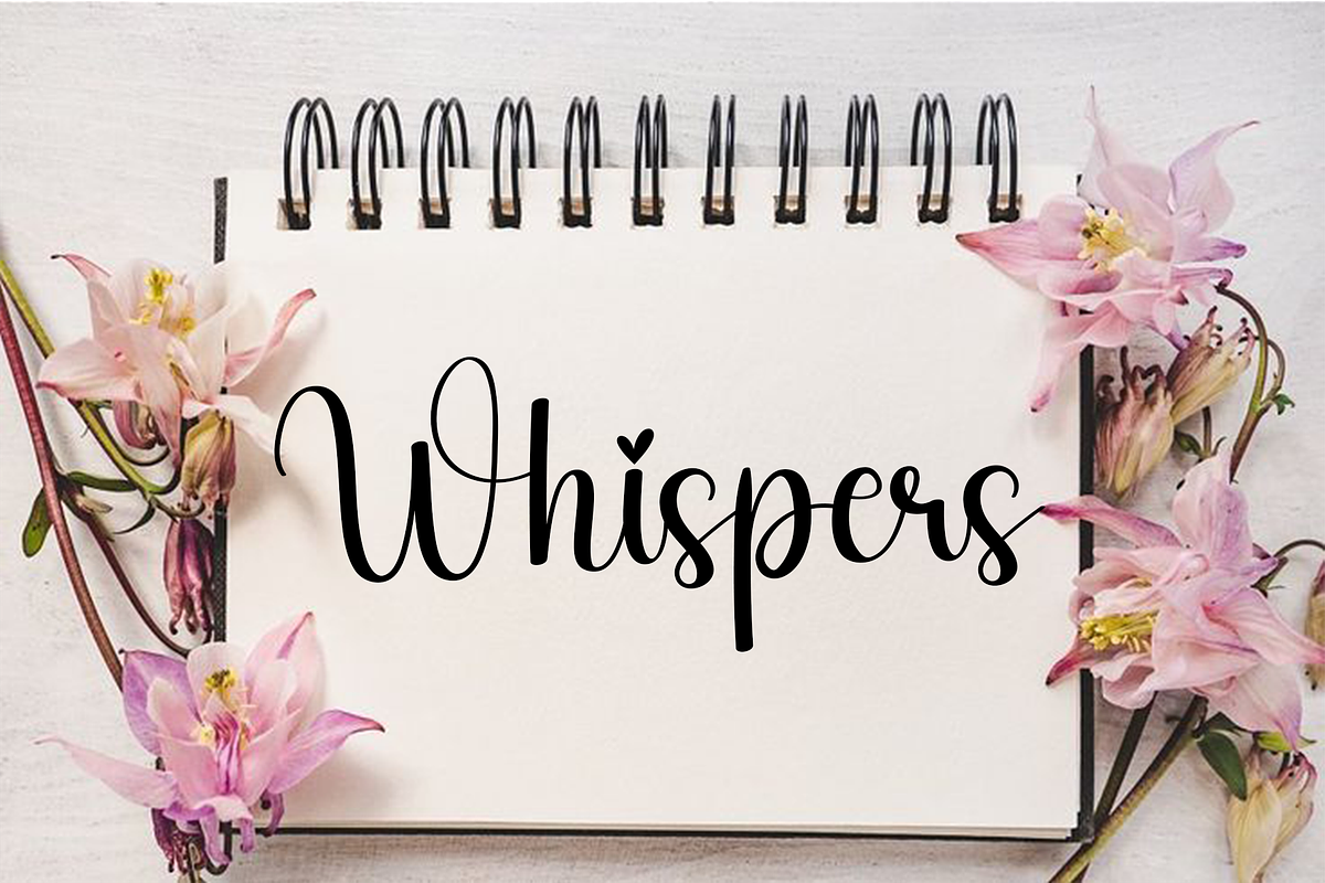 Bride, a Handwritten Font by InermediaSTUDIO (Photo 8 of 8)