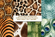 Animal Print Watercolor Designs, a Texture Graphic by karenfoleyphoto (Thumbnail 1 of 4)