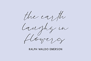 Goodspring Script, a Script Font by Beck McCormick (Thumbnail 2 of 10)