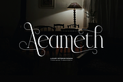 Trailogen | Display Serif Font, a Serif Font by gracetype_studio (Thumbnail 3 of 12)