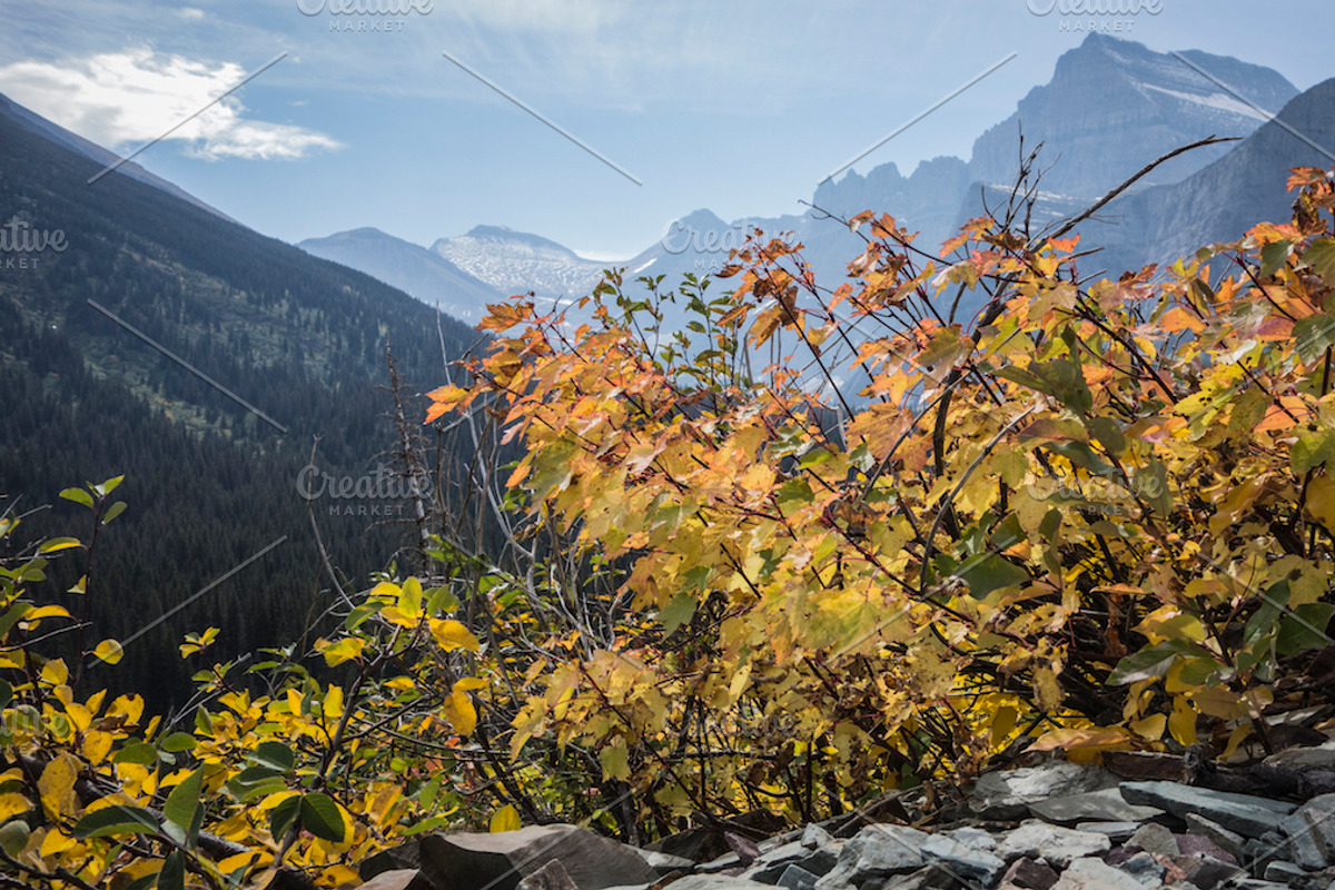 Glacier National Park Photo Pack, a Templates & Theme by Amazing Photography (Photo 5 of 5)