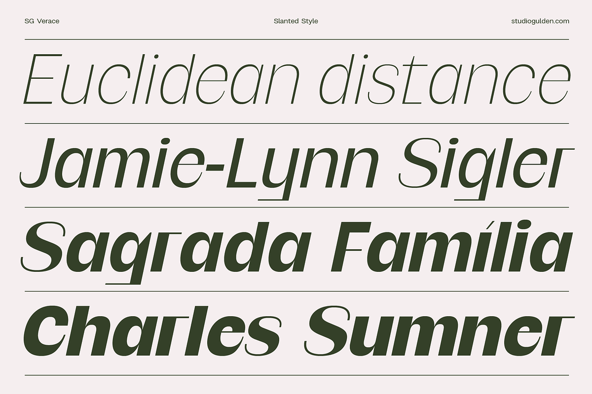SG Verace Display Font, a Sans Serif Font by Studio Gulden (Photo 9 of 15)