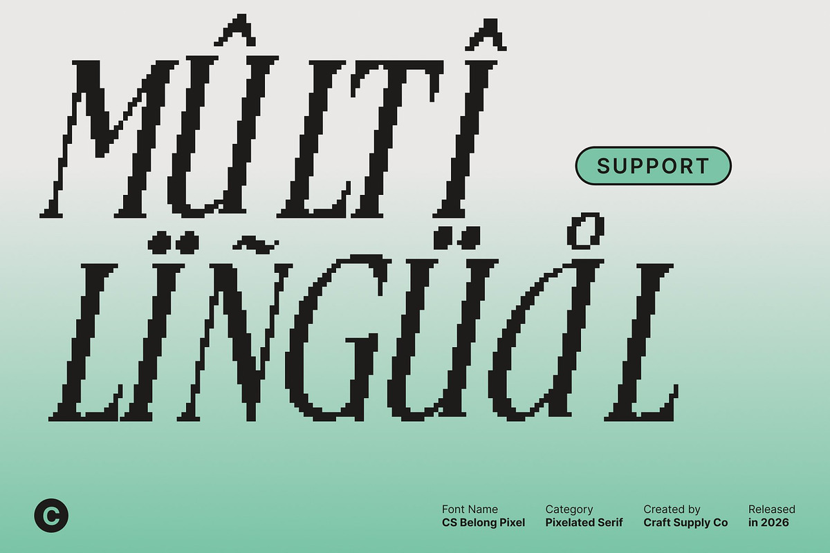CS Belong Pixel, a Serif Font by Craft Supply Co. (Photo 5 of 8)