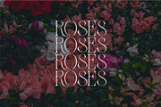 Zaslia - Elegant Ligature Serif, a Serif Font by suhadidesign (Thumbnail 7 of 14)